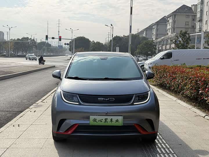 Фото 2 - BYD Dolphin