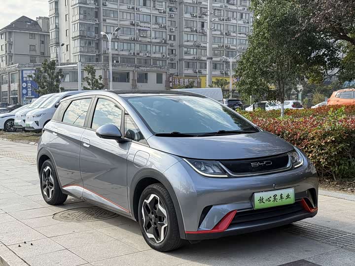 Фото 3 - BYD Dolphin