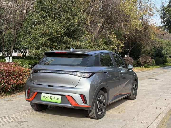 Фото 8 - BYD Dolphin