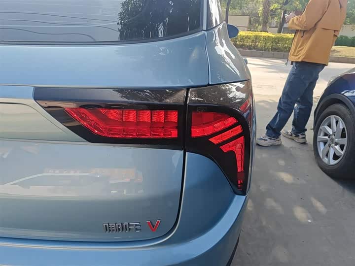 Фото 8 - Hozon V