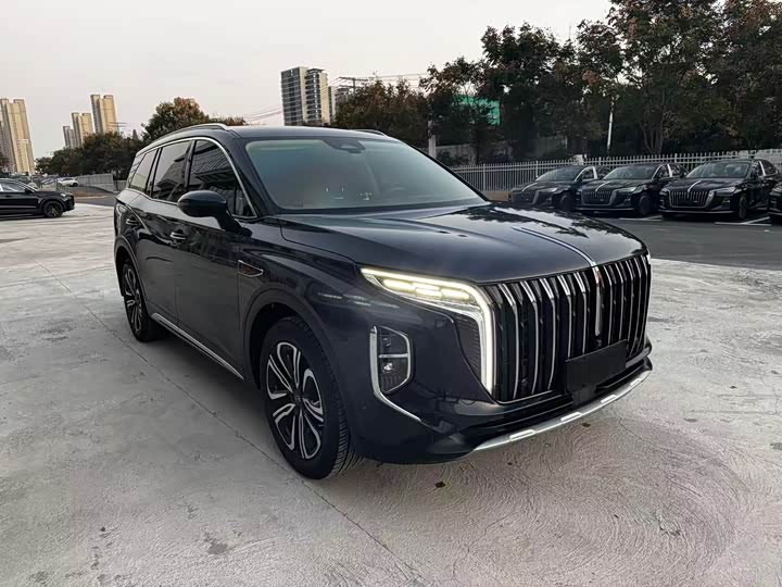 Фото 2 - Hongqi HS7