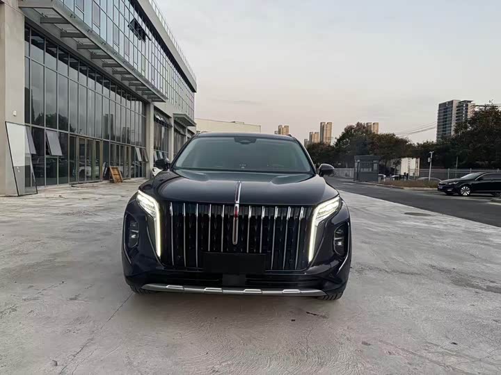 Фото 3 - Hongqi HS7