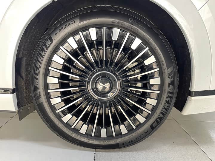 Фото 15 - XPeng X9