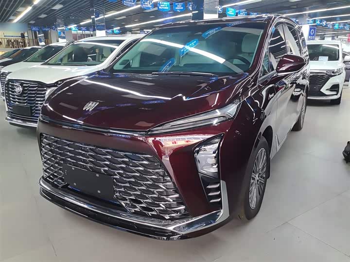 Фото 1 - Buick GL8 Hybrid