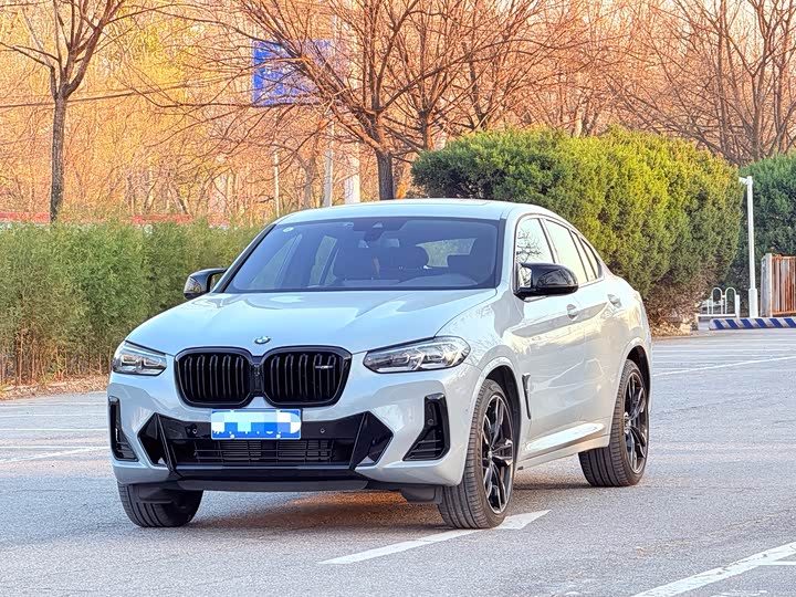 Фото 1 - BMW X4