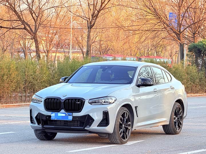 Фото 21 - BMW X4