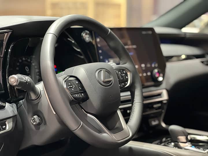 Фото 10 - Lexus RX