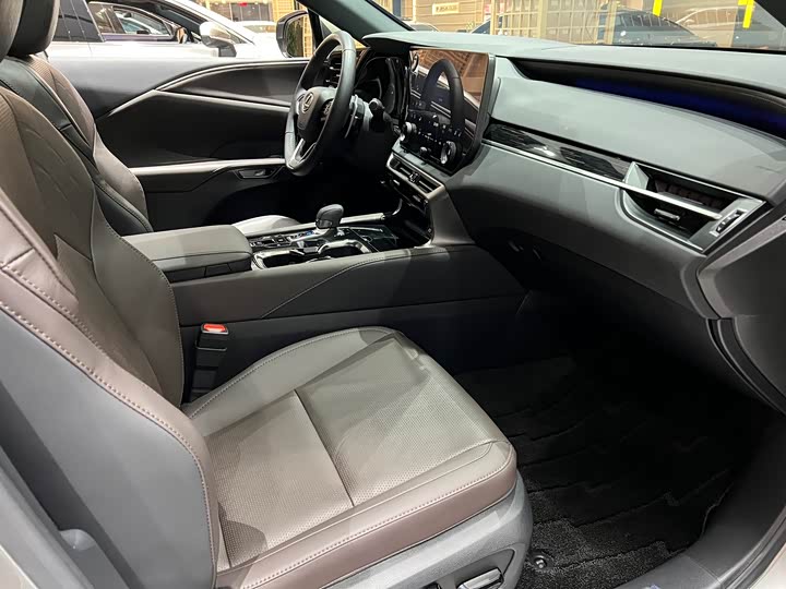 Фото 14 - Lexus RX