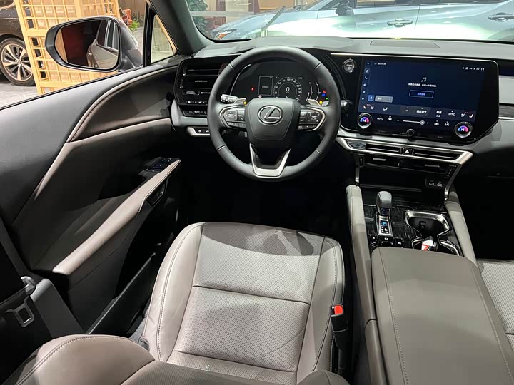 Фото 15 - Lexus RX