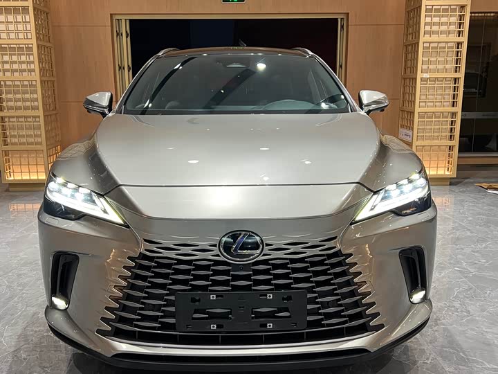 Фото 2 - Lexus RX