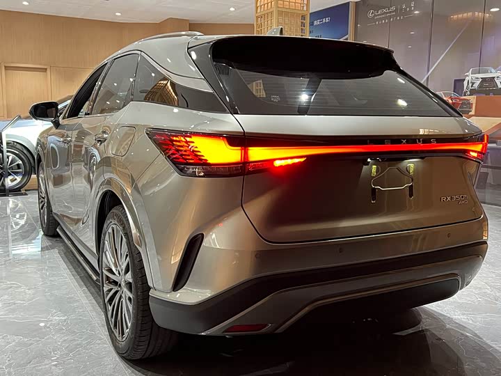 Фото 4 - Lexus RX