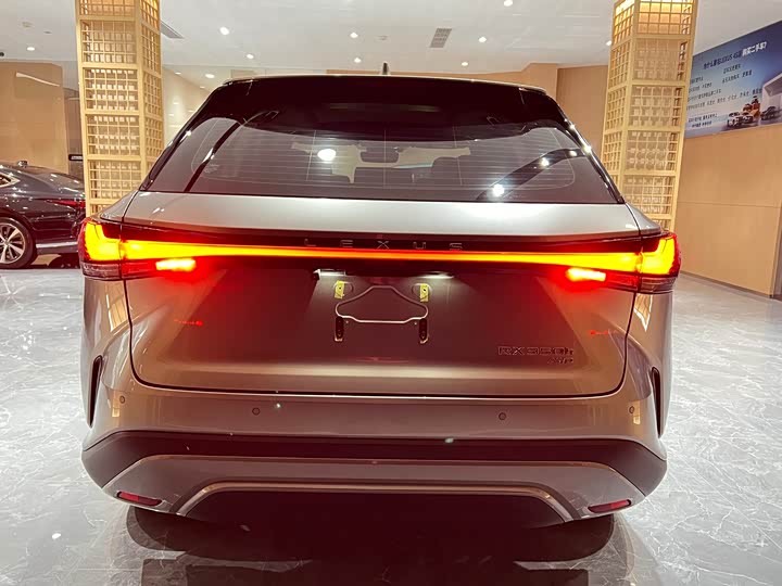 Фото 5 - Lexus RX