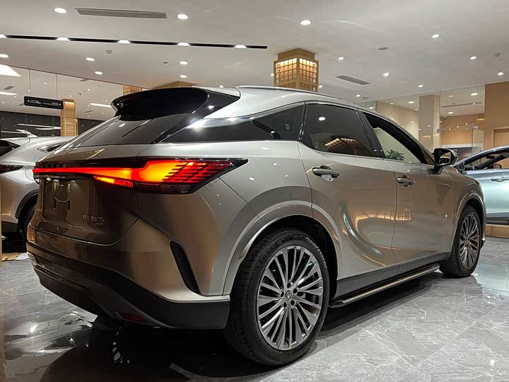 Фото 6 - Lexus RX