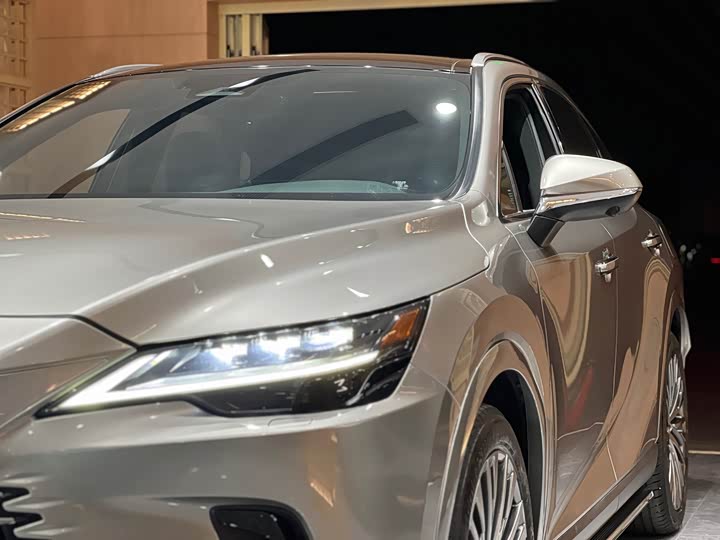 Фото 8 - Lexus RX