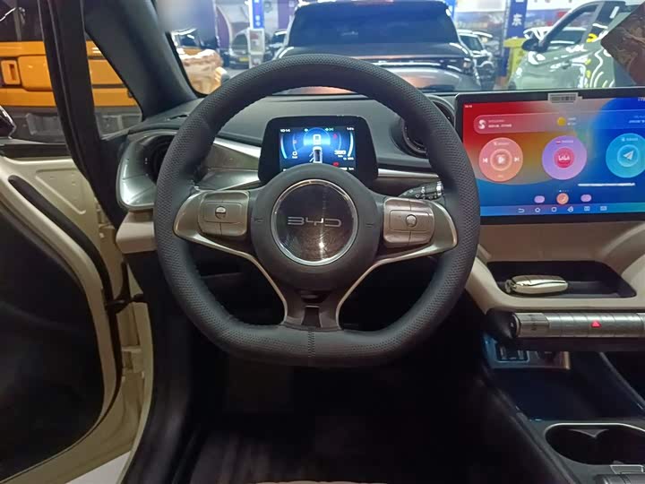 Фото 11 - BYD Dolphin