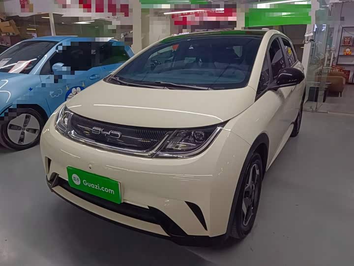 Фото 2 - BYD Dolphin