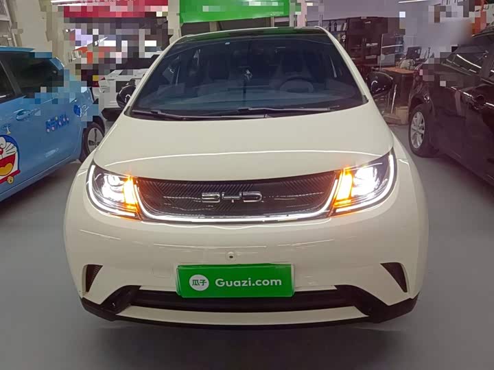 Фото 3 - BYD Dolphin