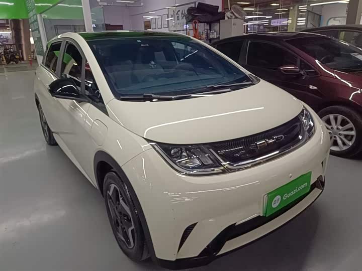 Фото 4 - BYD Dolphin