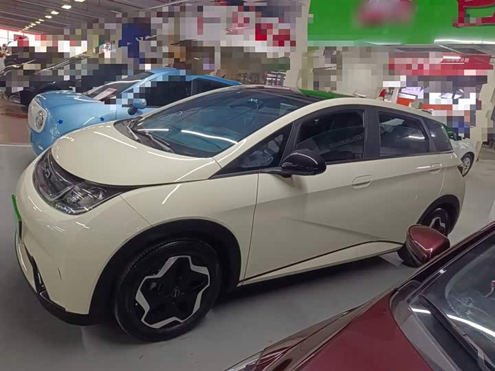 Фото 5 - BYD Dolphin