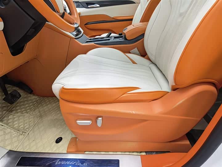 Фото 20 - Buick GL8 ES