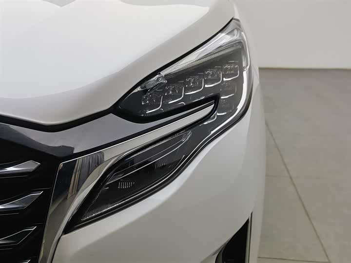 Фото 7 - Buick GL8 ES