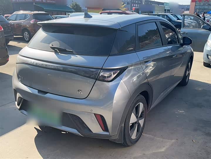 Фото 12 - BYD Dolphin