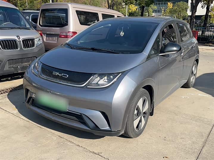 Фото 2 - BYD Dolphin