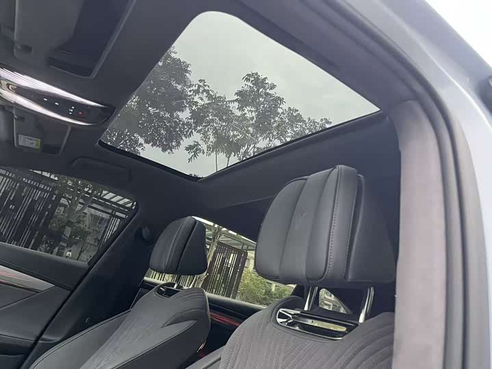 Фото 11 - Voyah Passion