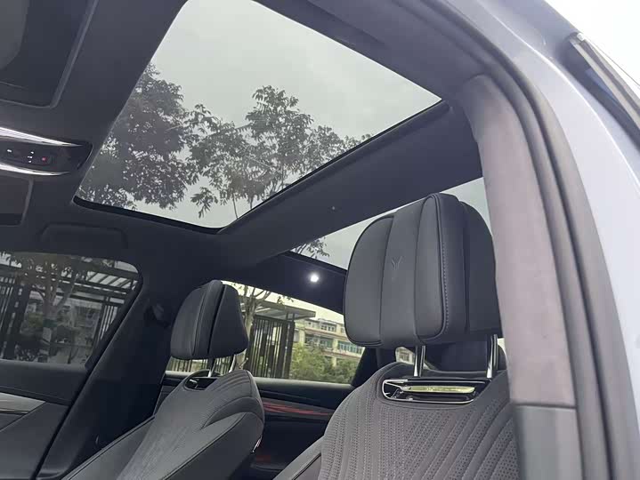 Фото 15 - Voyah Passion