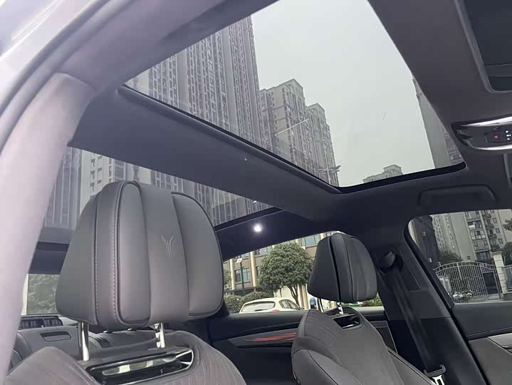 Фото 19 - Voyah Passion