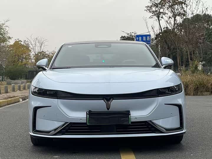 Фото 2 - Voyah Passion