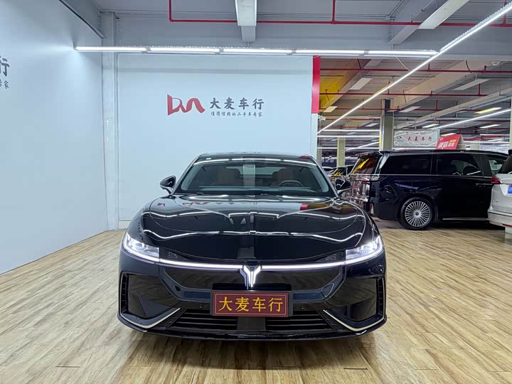 Фото 3 - Voyah Passion