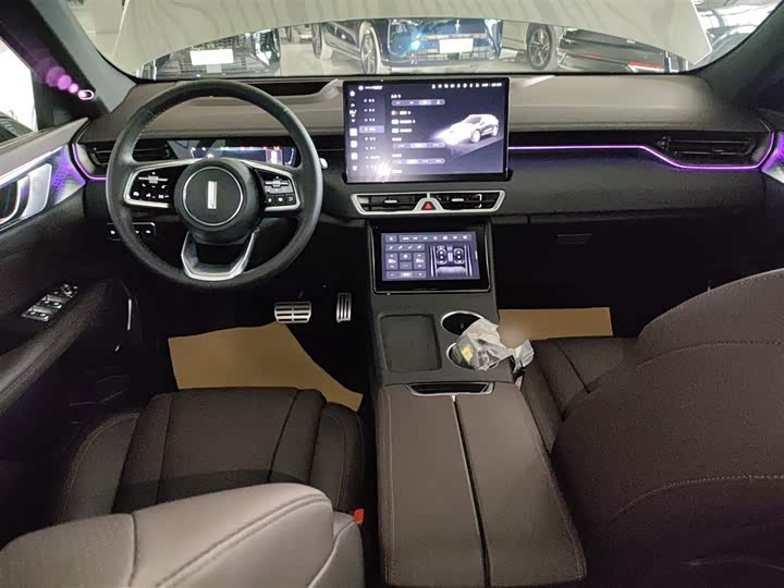 Фото 10 - Wey Mocca Hybrid