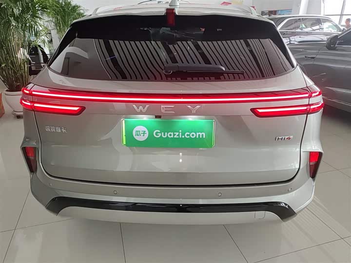 Фото 6 - Wey Mocca Hybrid