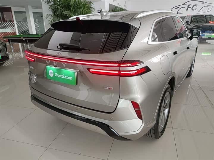 Фото 7 - Wey Mocca Hybrid