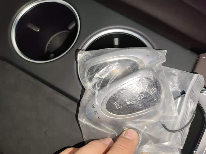 Фото 9 - Wey Mocca Hybrid