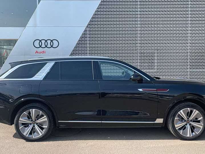 Фото 3 - Hongqi E-HS9