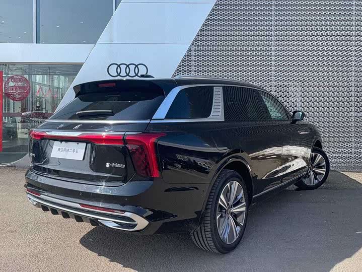 Фото 4 - Hongqi E-HS9