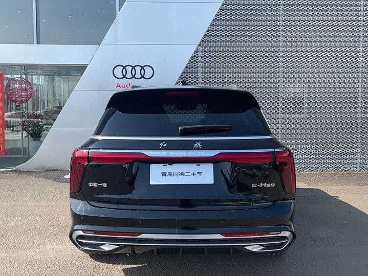 Фото 6 - Hongqi E-HS9