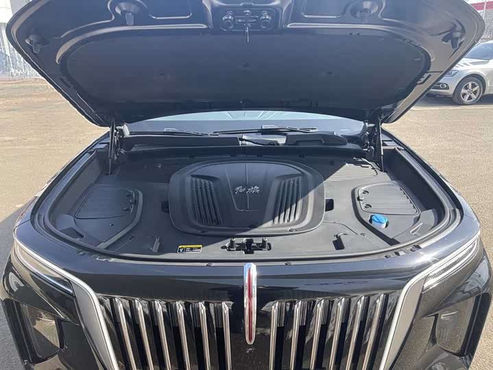 Фото 7 - Hongqi E-HS9