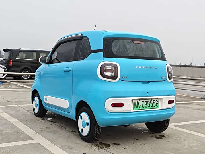 Фото 4 - Bestune Pony