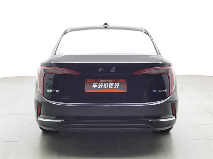 Фото 4 - Hongqi E-QM5