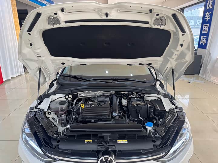 Фото 19 - Volkswagen Lamando L