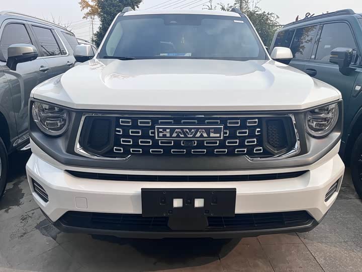 Фото 2 - Haval H-Dog