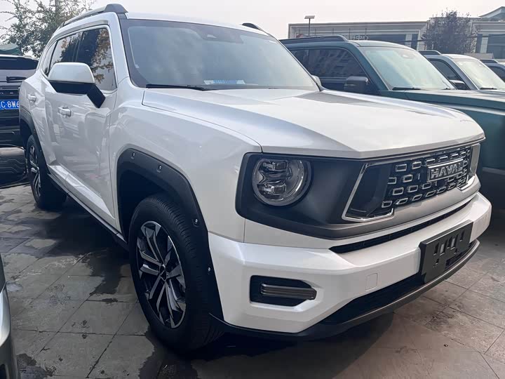 Фото 3 - Haval H-Dog