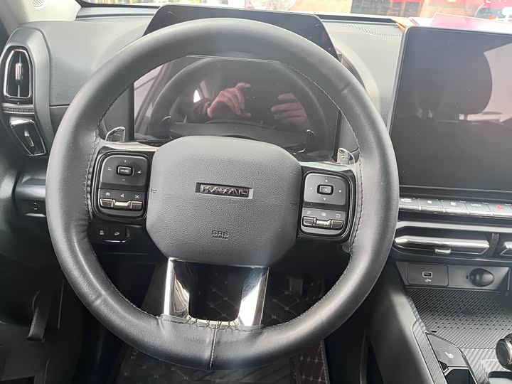 Фото 8 - Haval H-Dog