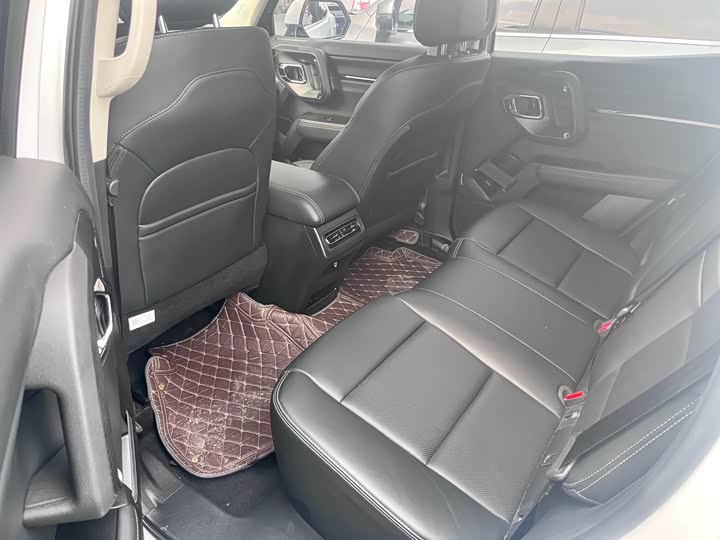 Фото 9 - Haval H-Dog