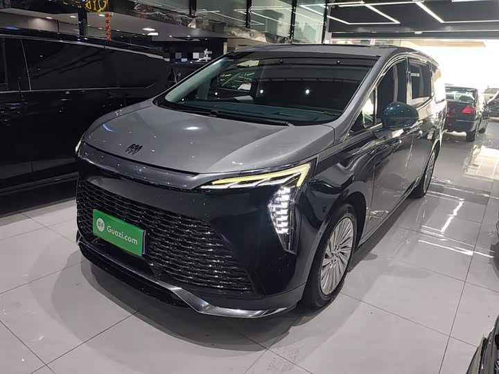 Фото 2 - Buick GL8 Century