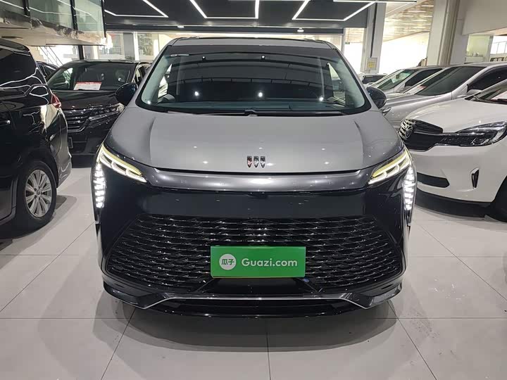 Фото 3 - Buick GL8 Century