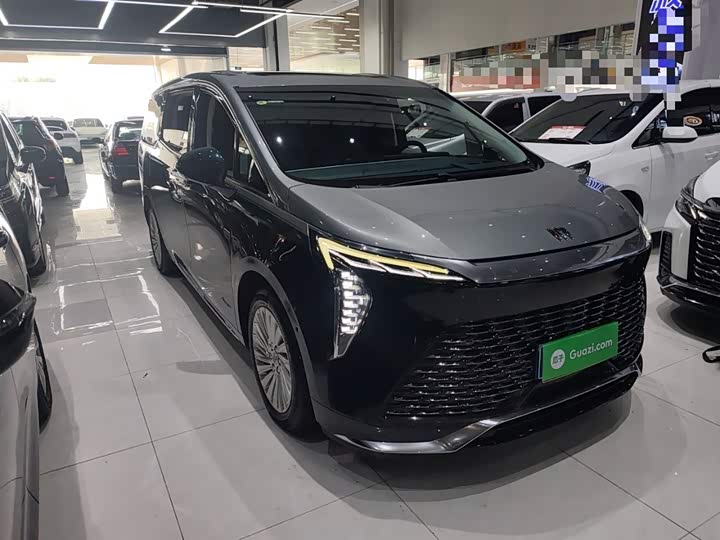 Фото 4 - Buick GL8 Century